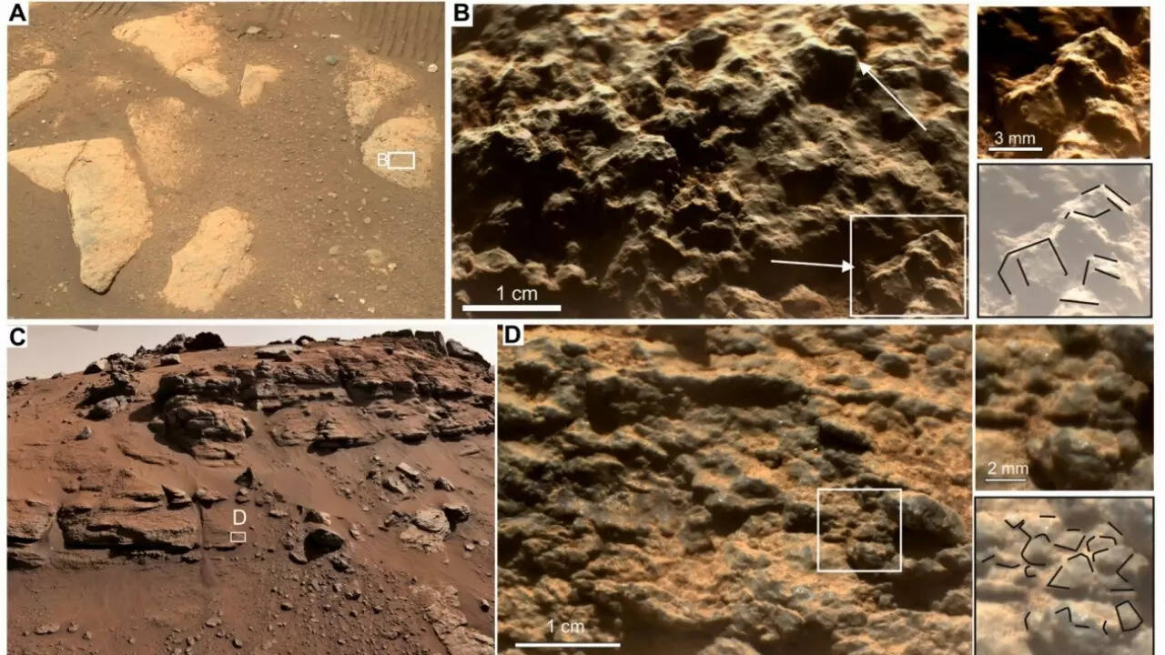 NASA Perseverance rover finds Mars biggest cache of organic molecules yet and the case for ancient life grows